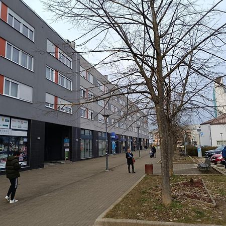 Pranjic Apartment Zapresic Bagian luar foto